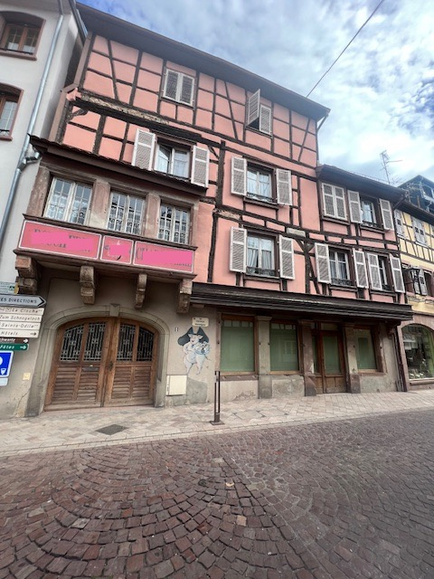 Vente Appartement 613m² 12 Pièces à Obernai (67210) - Valcorimmo